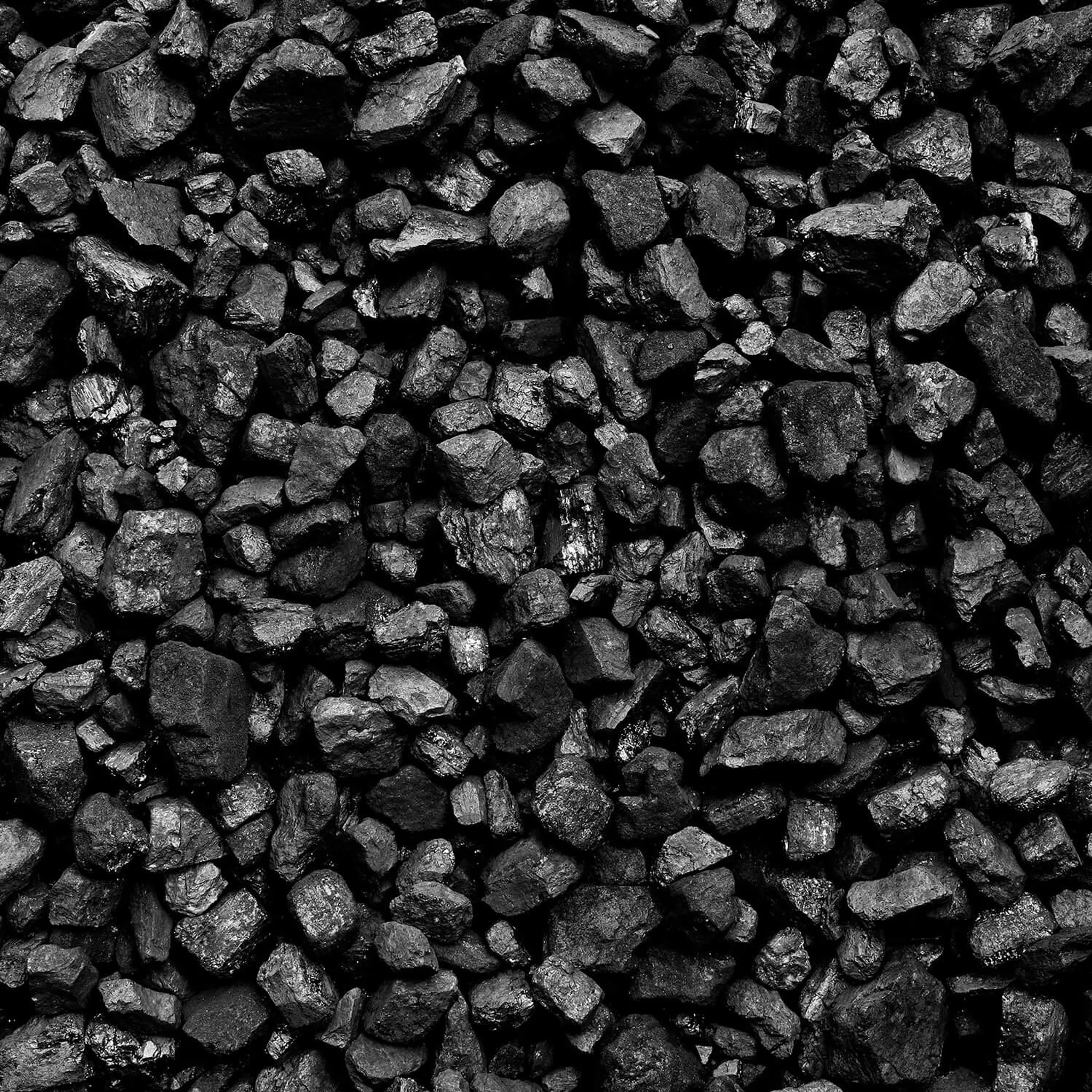 ANMAG 5 Steinkohle – 25 mm, 20 kg x 50 Säcke, 1000 kg Palette – Bild 4